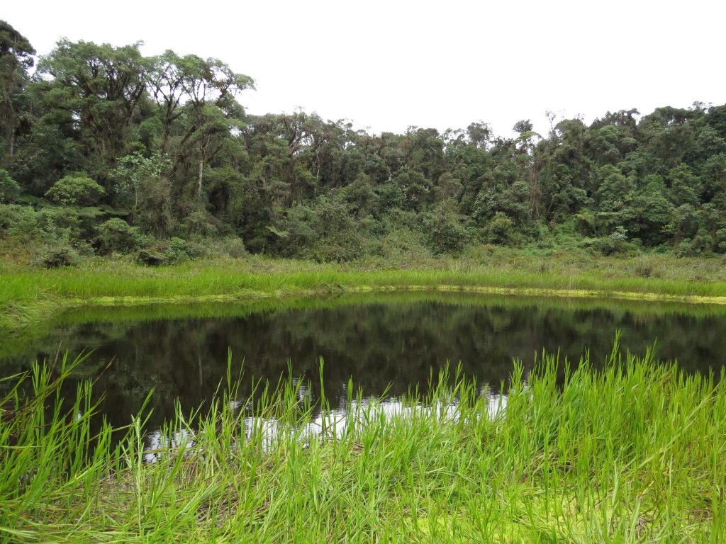 Laguna El Dorado, en Saladoblanco, Huila. 📷: Sebastián Berrío