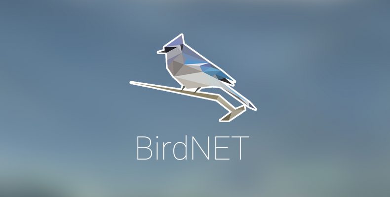 Probando-BirdNET-Portada