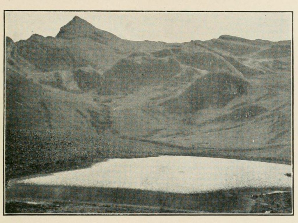 Laguna en el páramo de Santa Isabel - Leo E. Miller