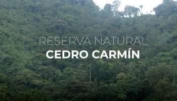 Portada Reserva Natural Cedro Carmín, Salgar, Antioquia