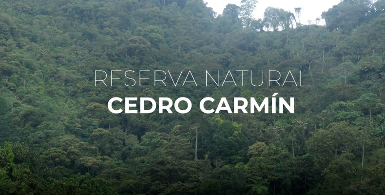 Portada Reserva Natural Cedro Carmín, Salgar, Antioquia